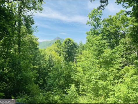 2531 Hunter Road Hiawassee GA 30546