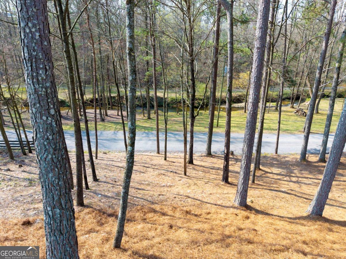 1420 Henry Evans Road Ellijay GA 30540