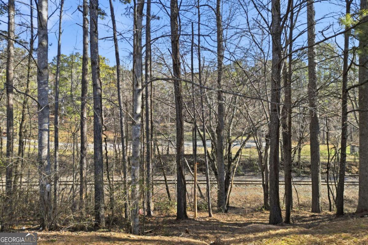 201 Arbor Hills Road N Talking Rock GA 30175