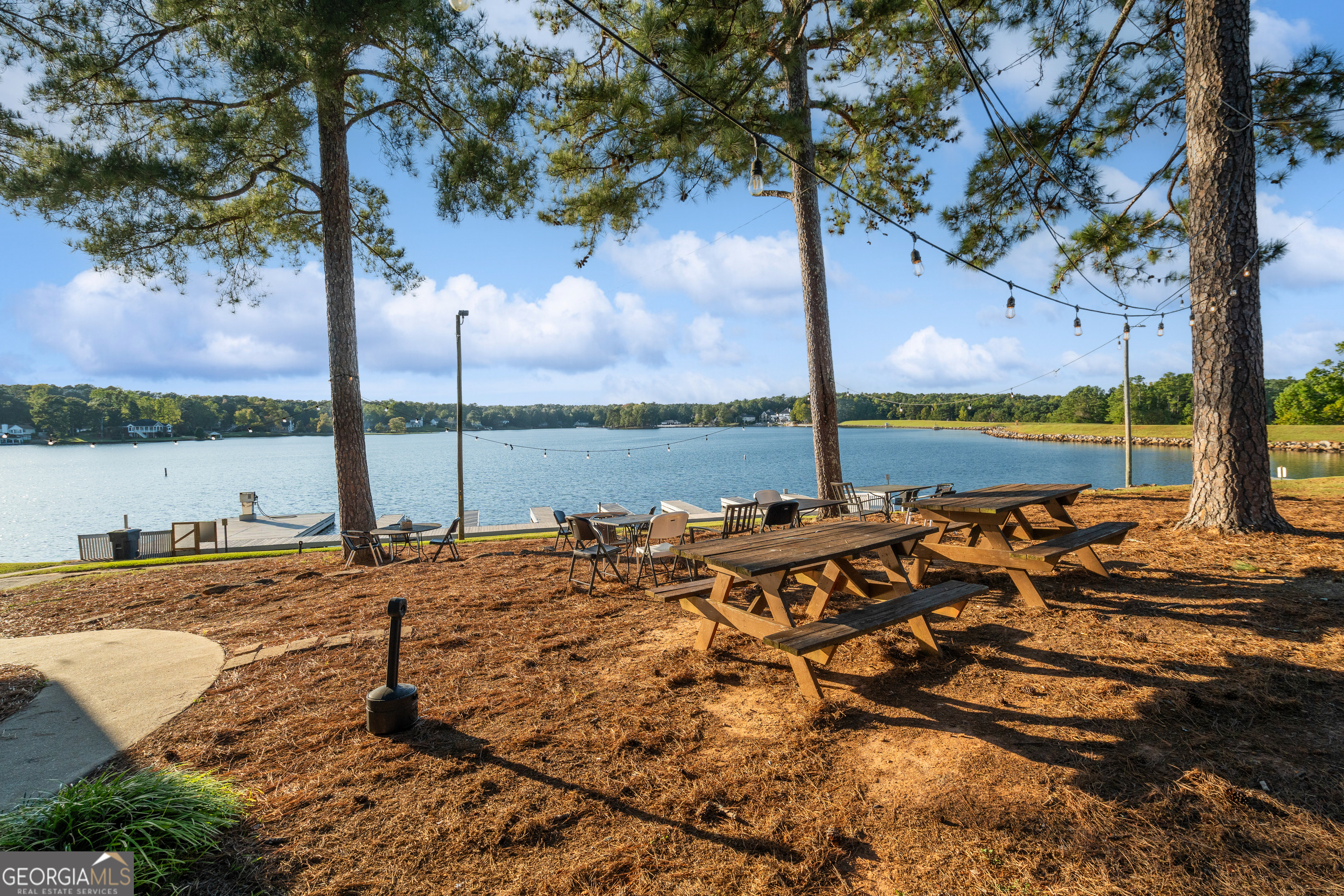 10119 Waterside Court Villa Rica GA 30180
