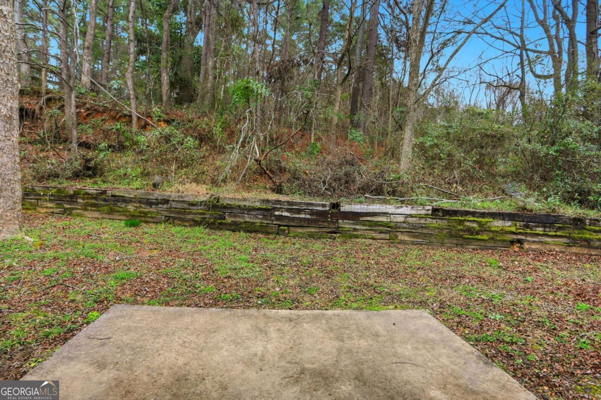 11066 Shannon Circle Hampton GA 30228
