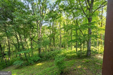 245 Sunrise Valley Road Blue Ridge GA 30513