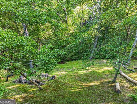 245 Sunrise Valley Road Blue Ridge GA 30513
