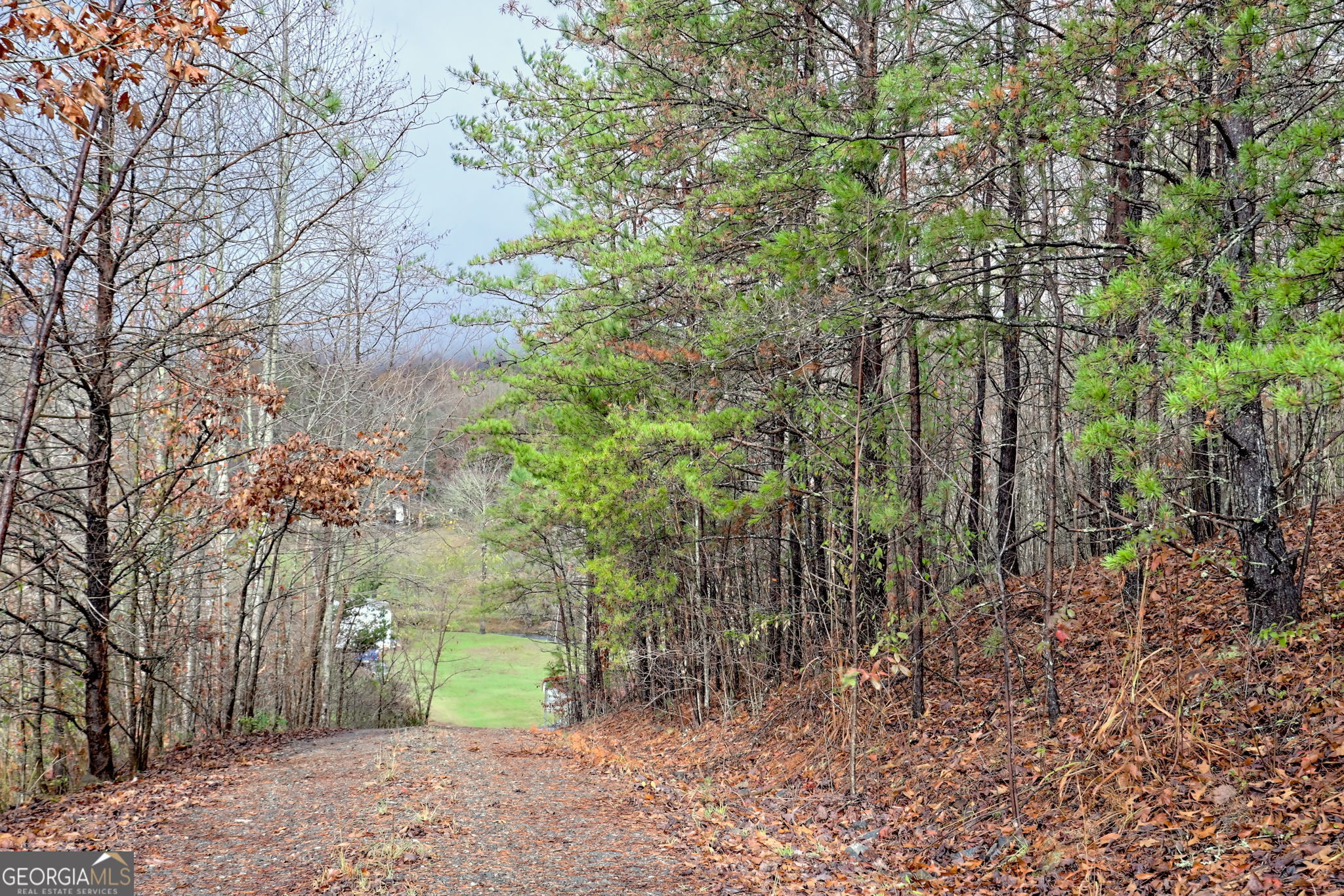 539 Nicholson Trail Hiawassee GA 30546