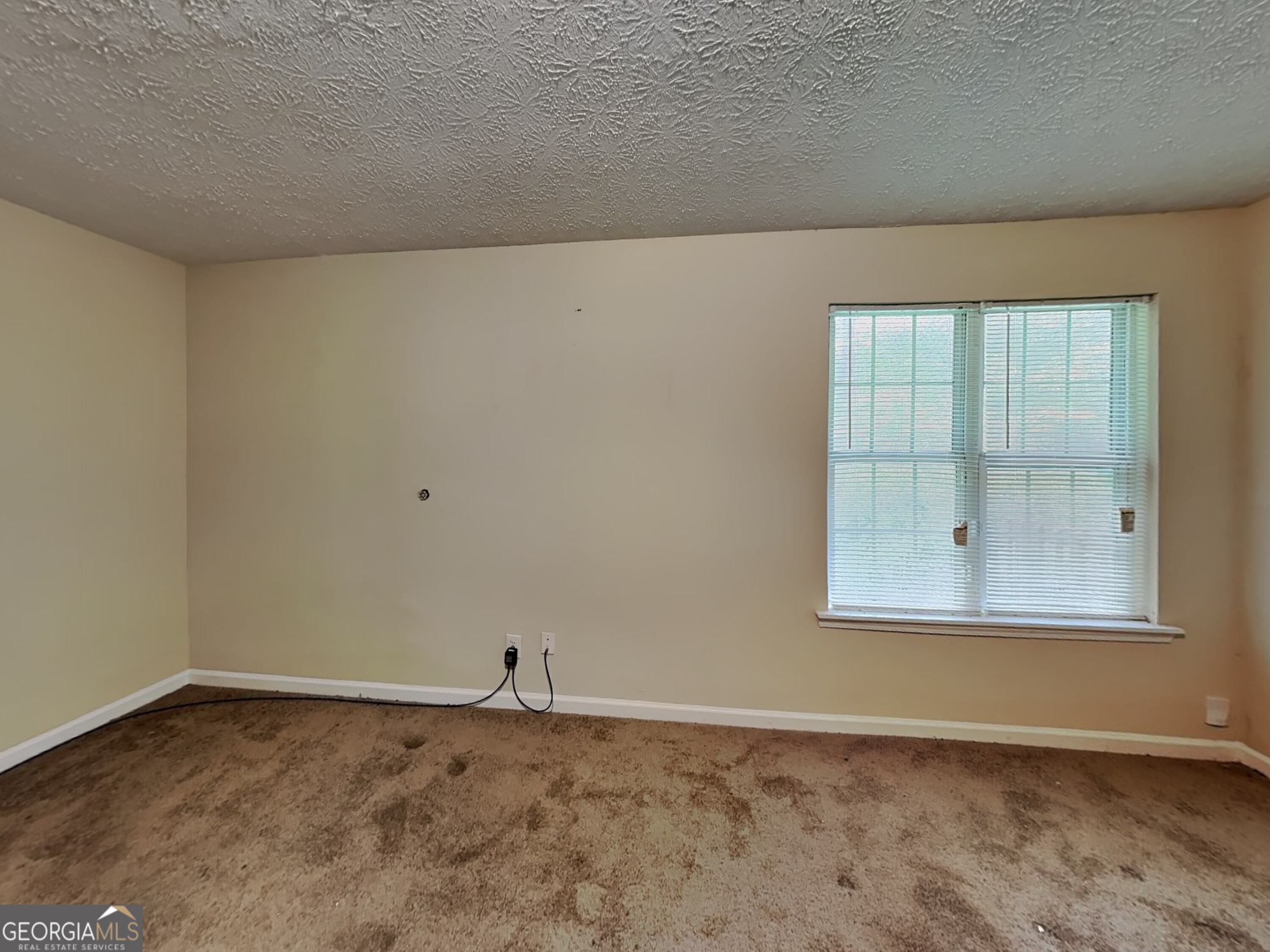 1278 Lynx Court Hampton GA 30228