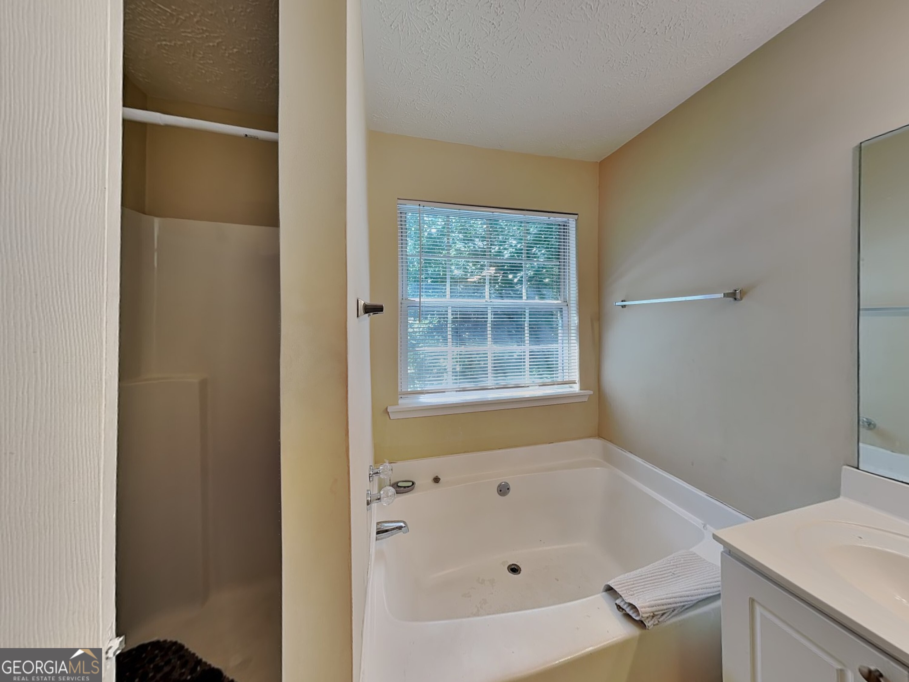 1278 Lynx Court Hampton GA 30228