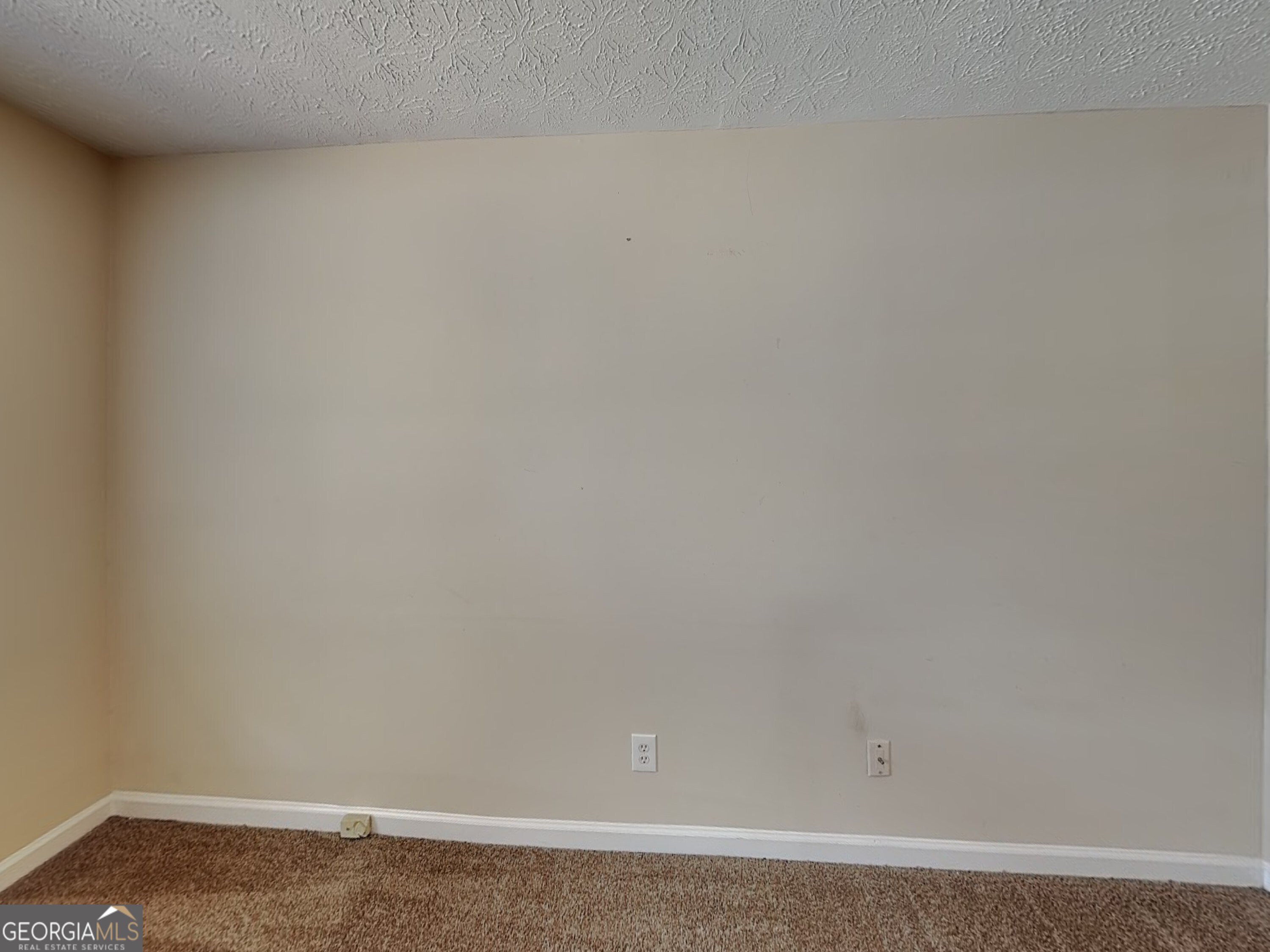 1278 Lynx Court Hampton GA 30228