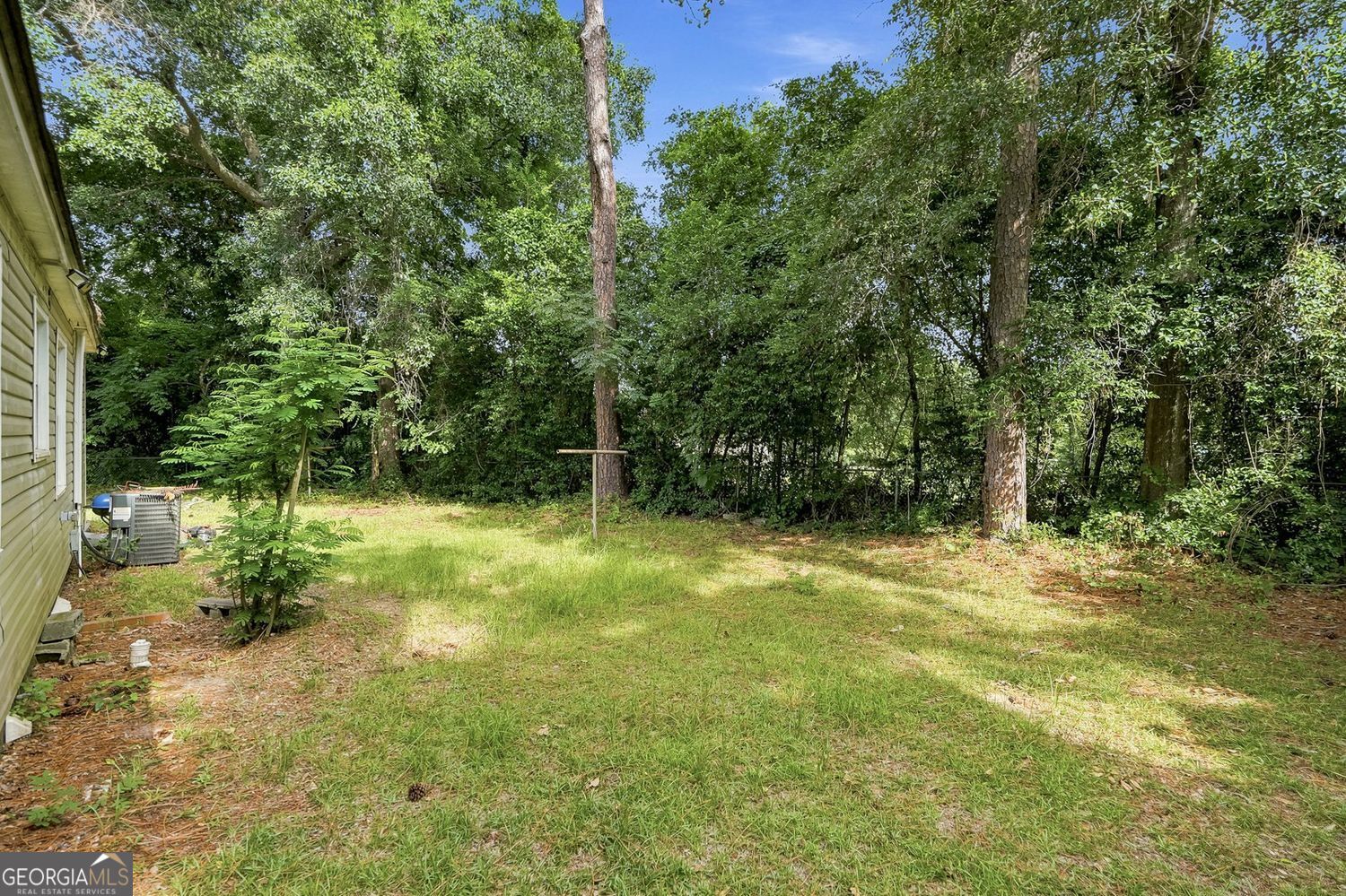 225 Myrtle Drive Roberta GA 31078