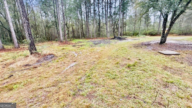 5926 Mill Branch Club Road Brooklet GA 30415
