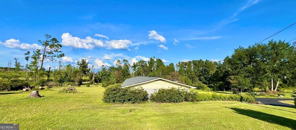 82 Cook Road Hazlehurst GA 31539