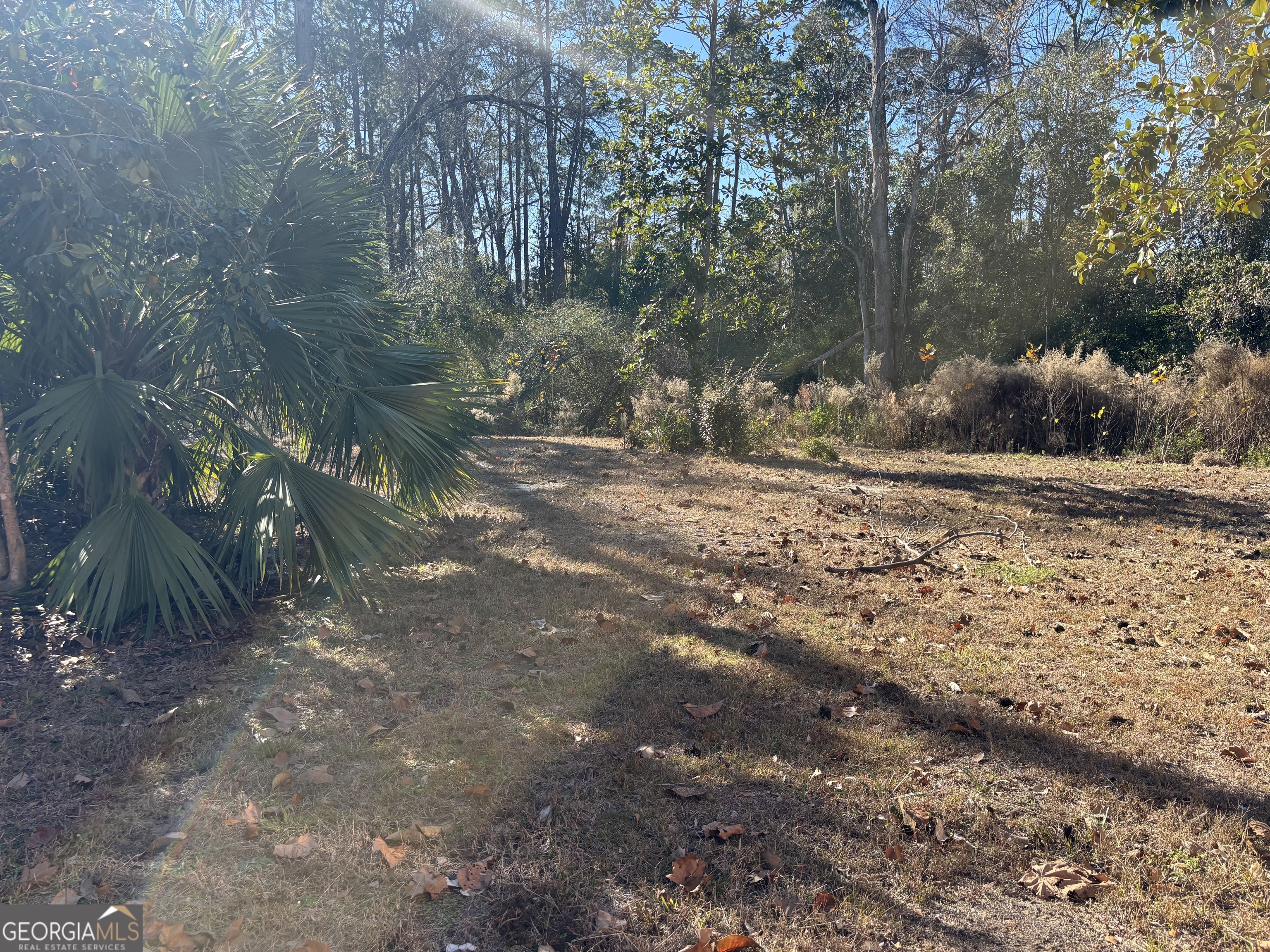 131 Huckabee Street Mcrae-helena GA 31055