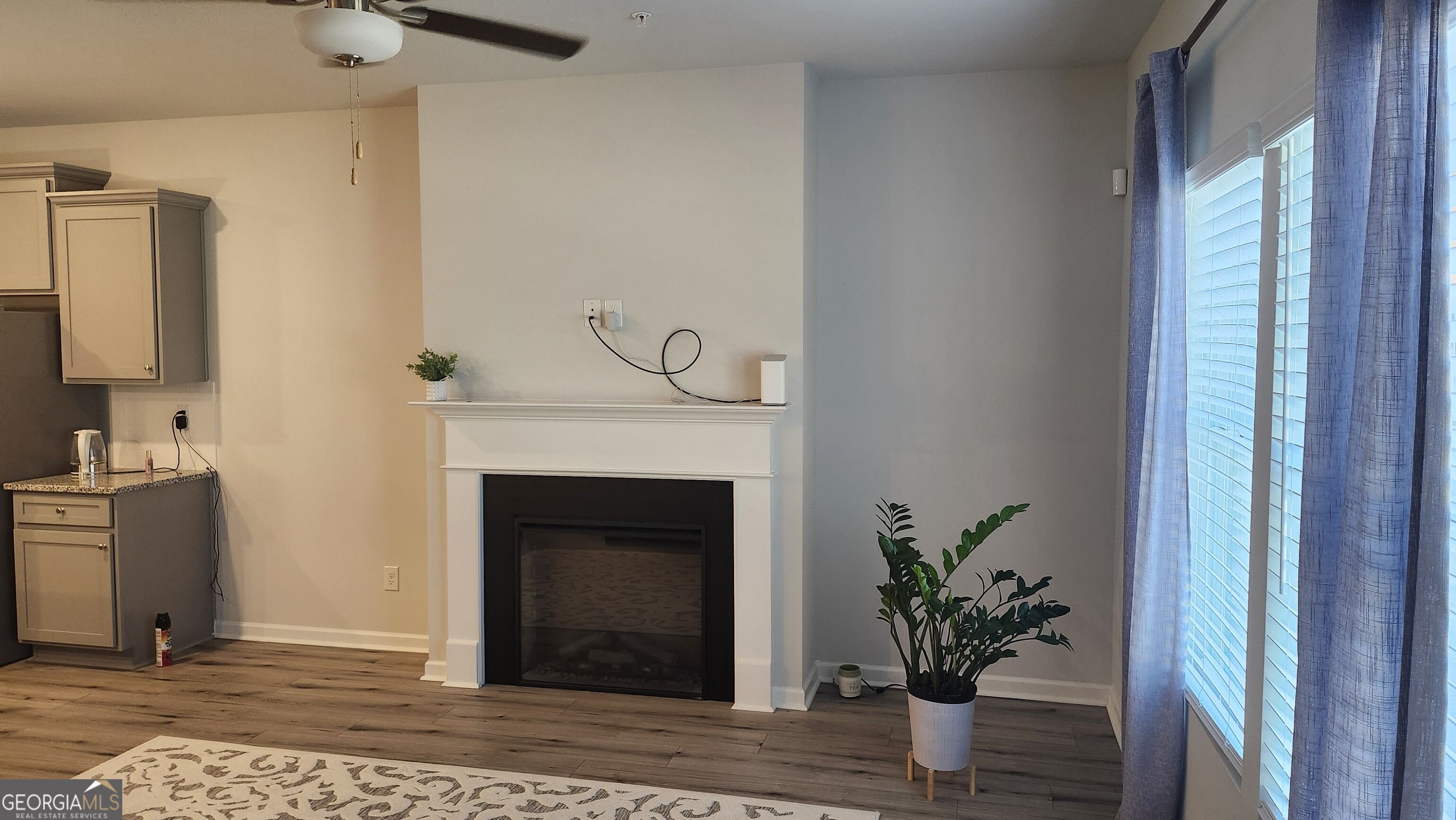11692 Mendenhall Court Hampton GA 30228