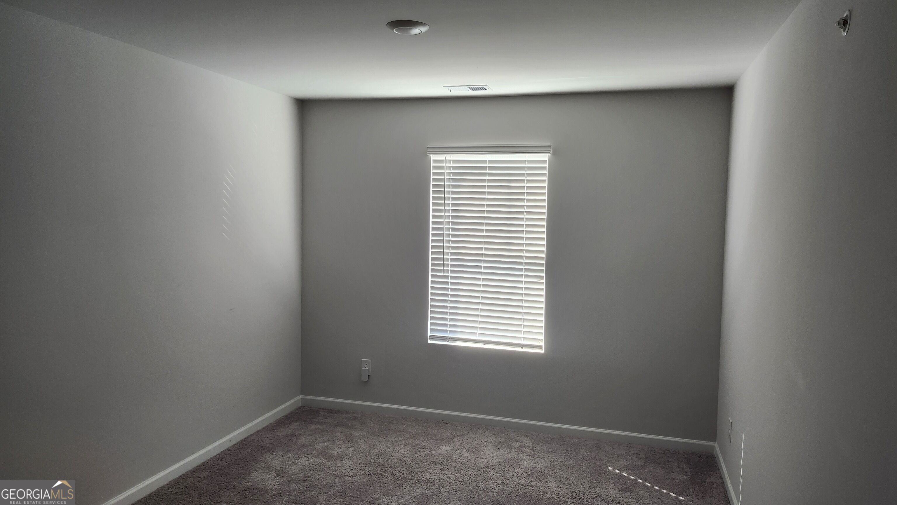11692 Mendenhall Court Hampton GA 30228
