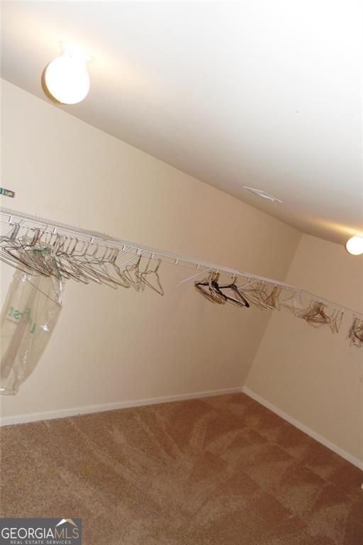 55 Silver Willow Court Covington GA 30016