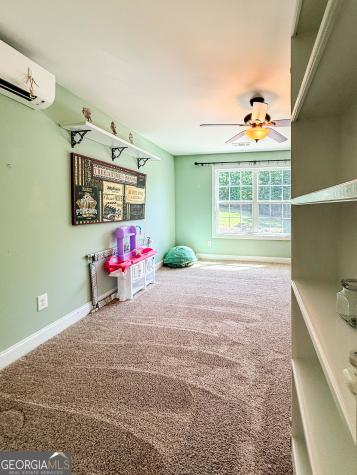 1917 Albert Reid Road Cleveland GA 30528
