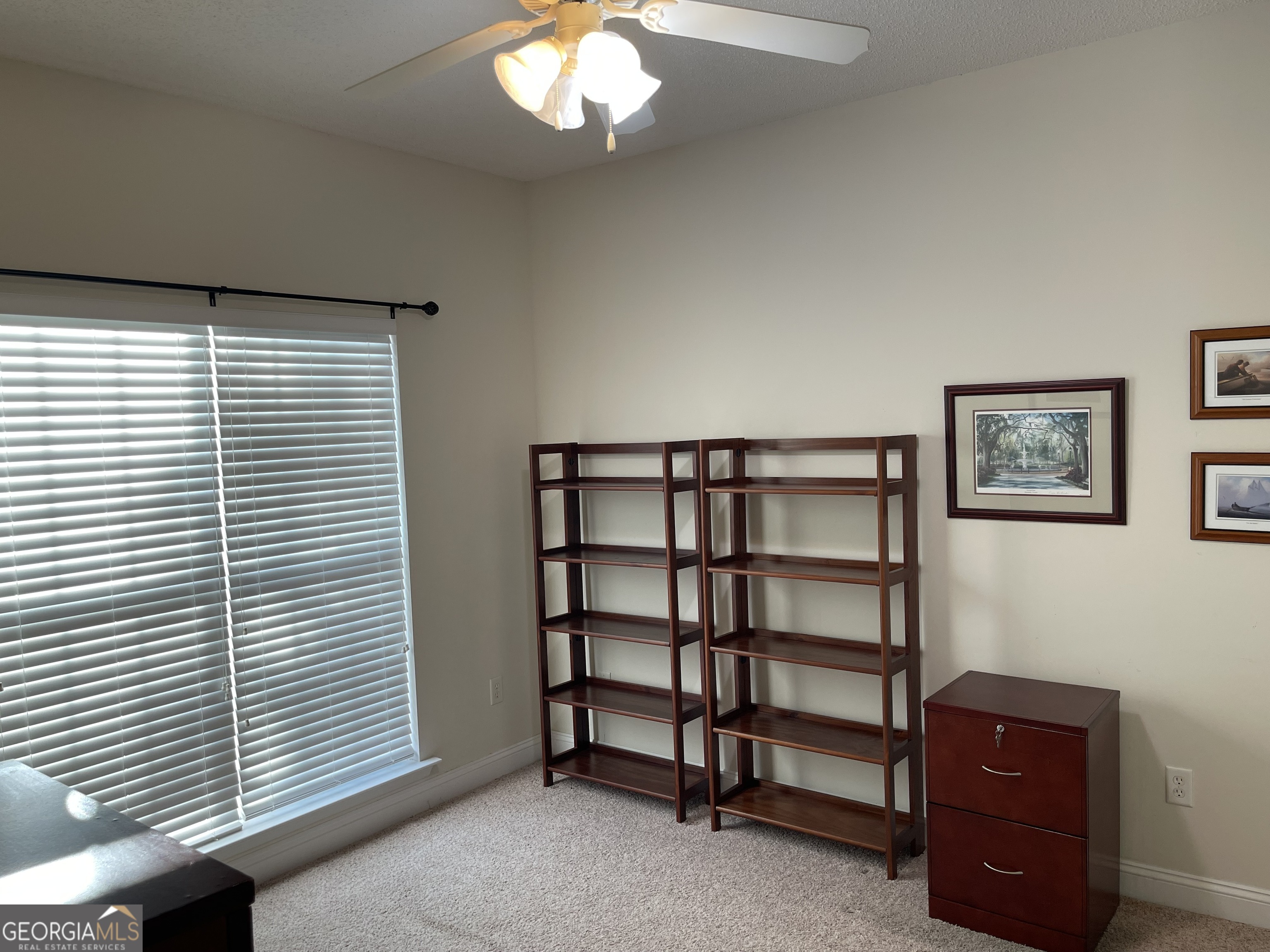 137 Blue Ridge Drive Statesboro GA 30458
