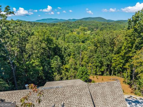 15662 Highway 197 N Clarkesville GA 30523
