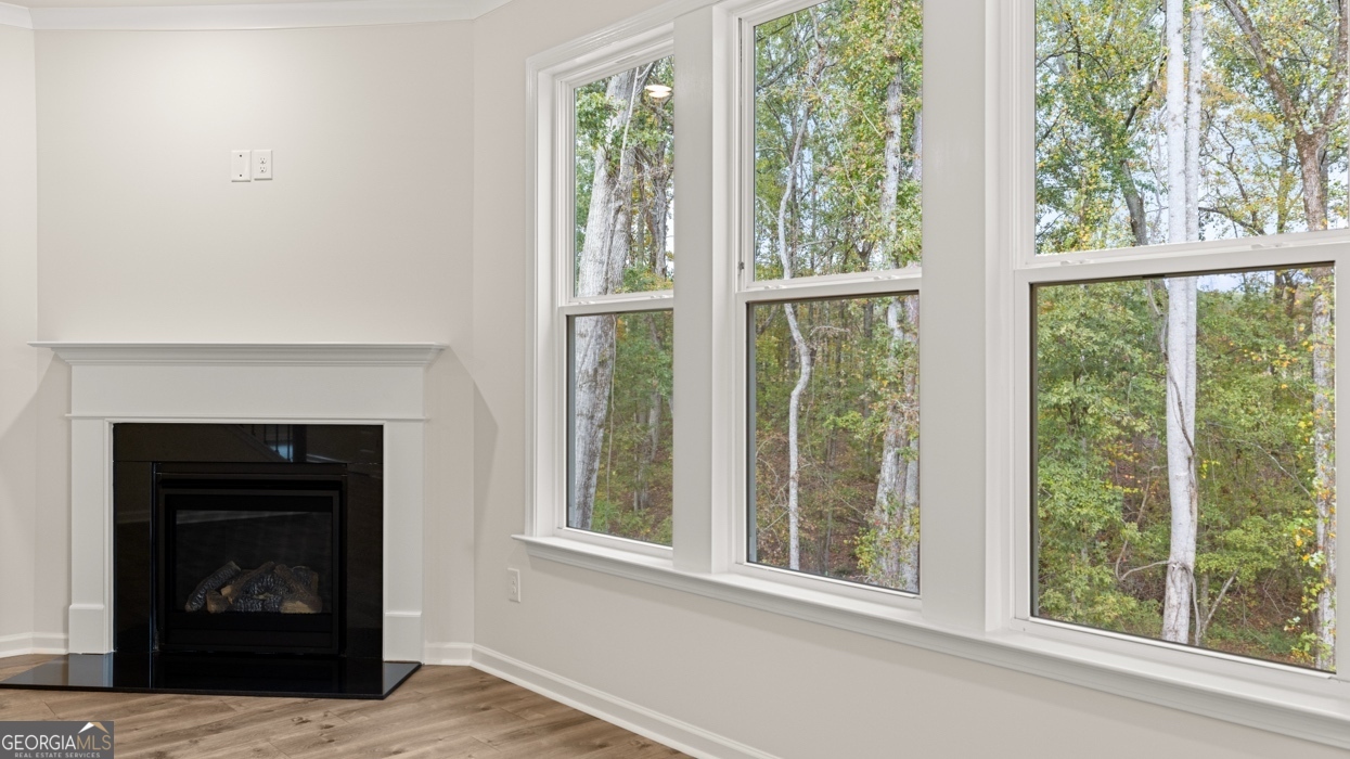 1816 Quaker Street Hampton GA 30228
