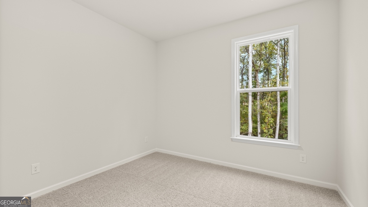 1816 Quaker Street Hampton GA 30228