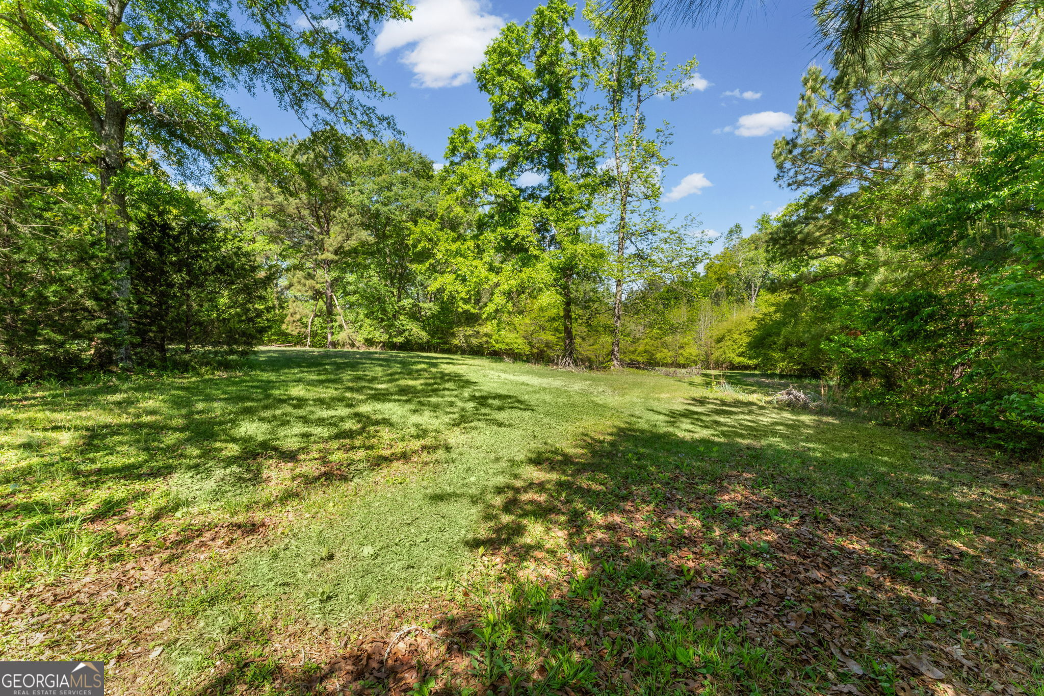 15 Austin Storey Circle Newnan GA 30263