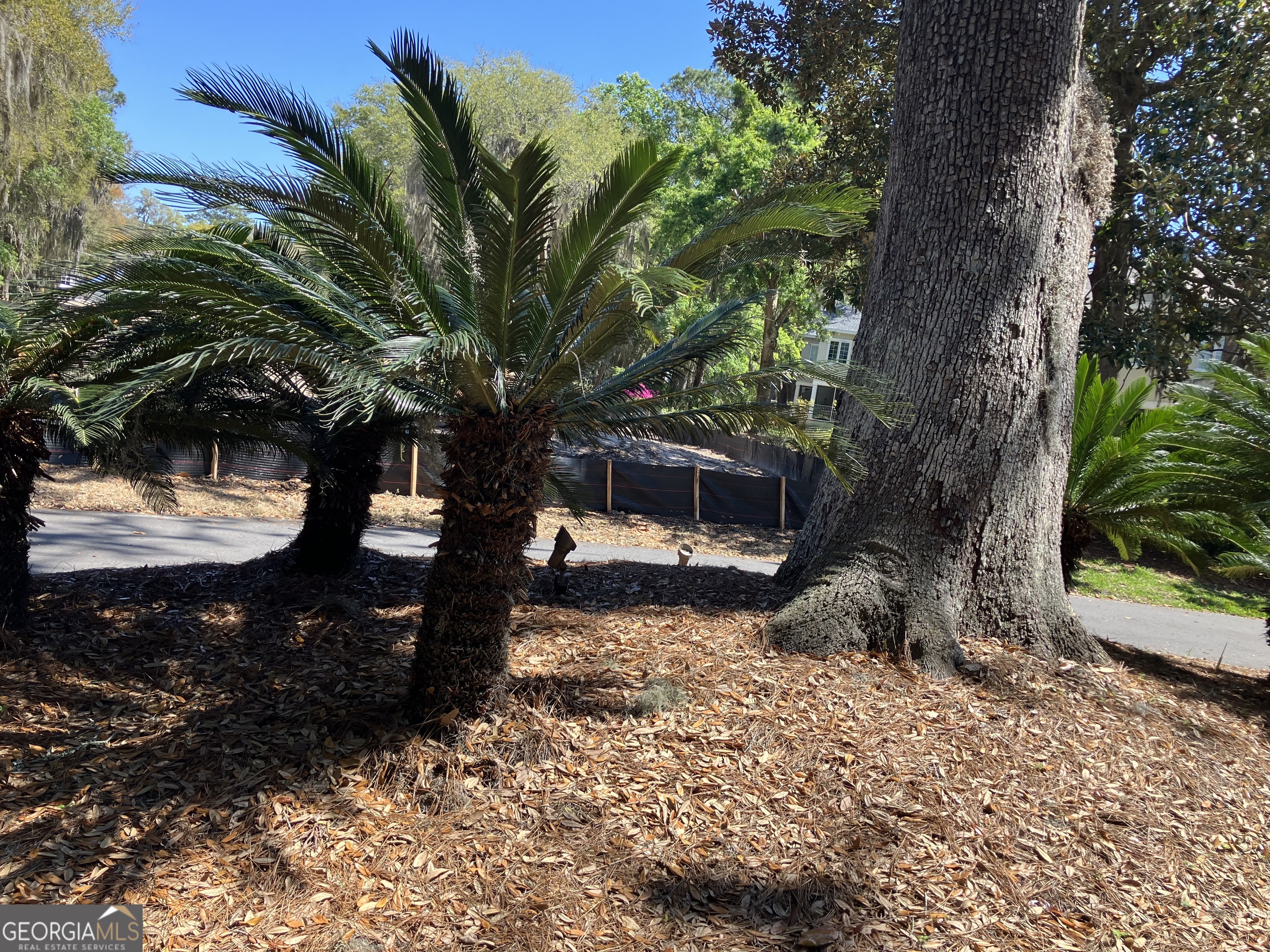 103 Kiln Trail St. Simons Island GA 31522