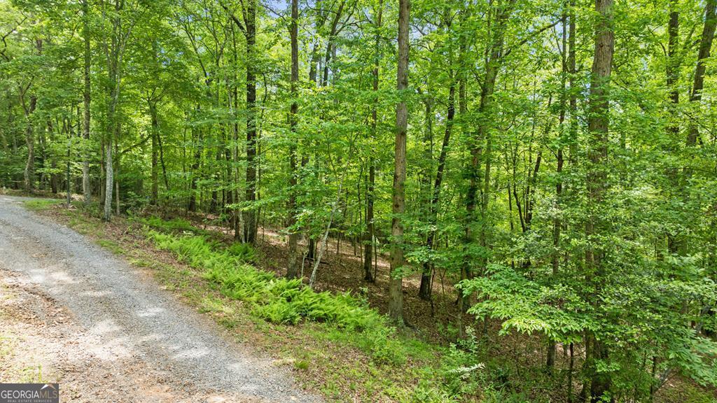 Lt 16 Navajo Trail Mccaysville GA 30555