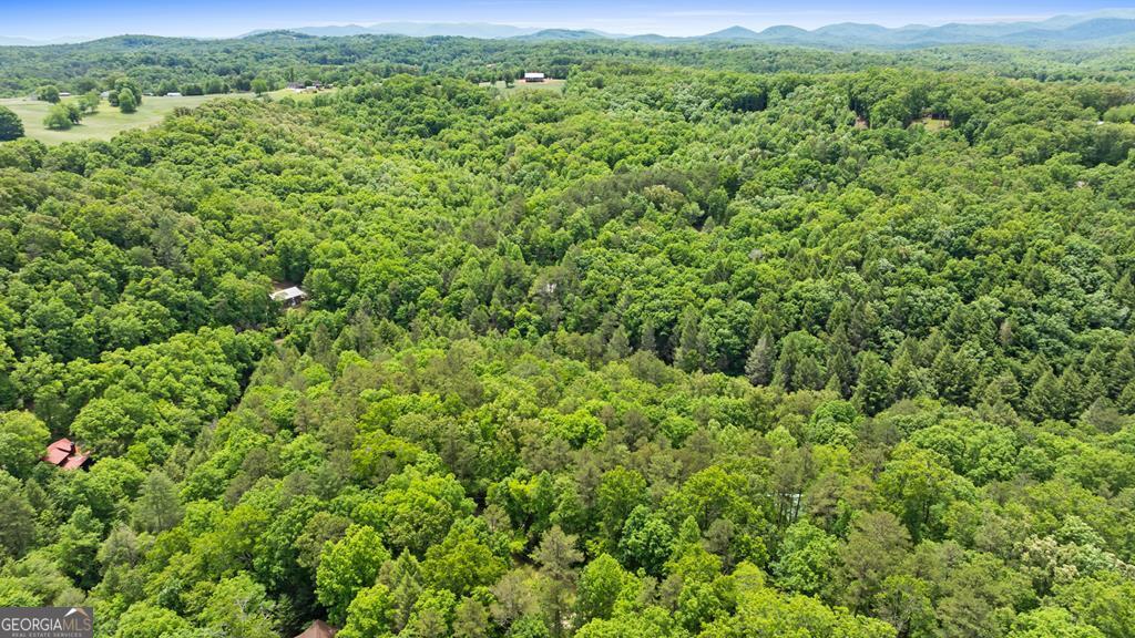 Lt 16 Navajo Trail Mccaysville GA 30555