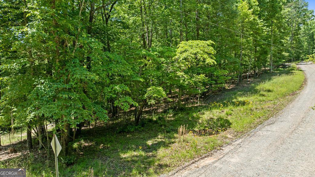 Lt 16 Navajo Trail Mccaysville GA 30555