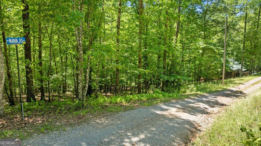 Lt 16 Navajo Trail Mccaysville GA 30555