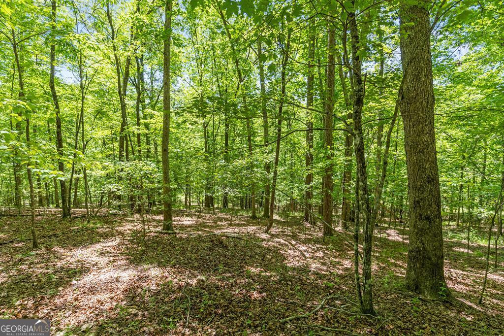 Lt 16 Navajo Trail Mccaysville GA 30555