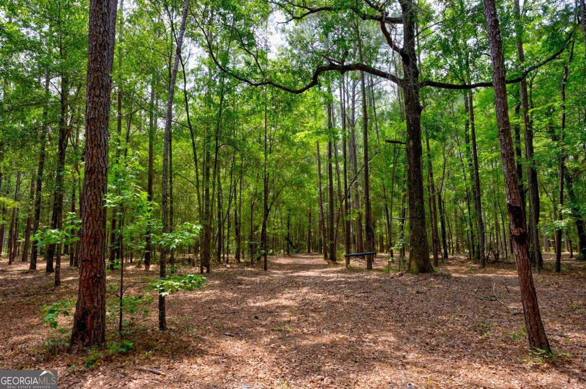 4000 Old River Road S Brooklet GA 30415