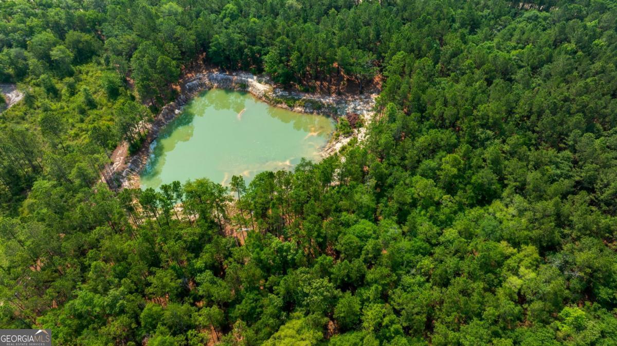 4000 Old River Road S Brooklet GA 30415
