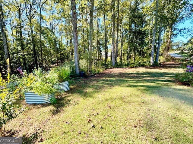 1168 Hannahs Mill Road Thomaston GA 30286