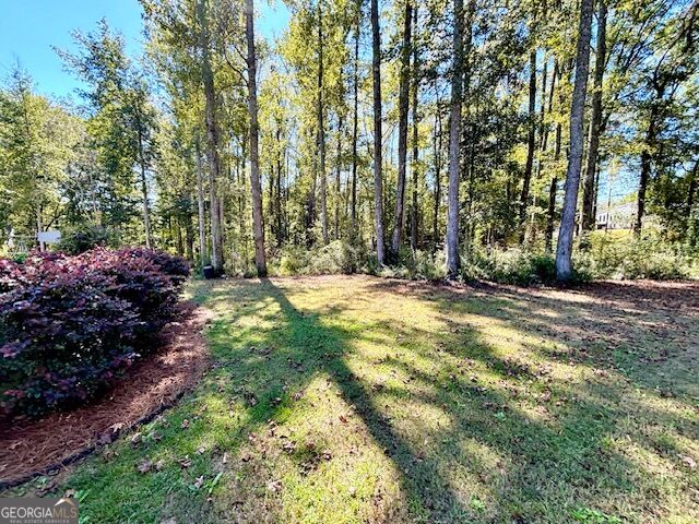 1168 Hannahs Mill Road Thomaston GA 30286