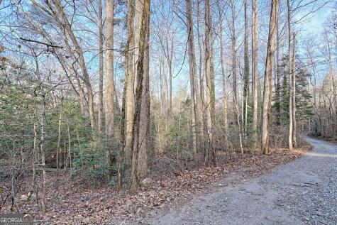 341 Brookwood Lane Clarkesville GA 30523