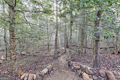 341 Brookwood Lane Clarkesville GA 30523