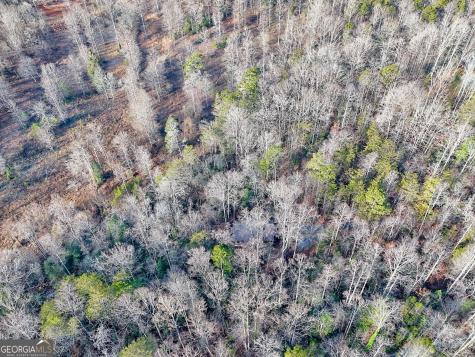 341 Brookwood Lane Clarkesville GA 30523
