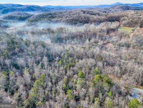 341 Brookwood Lane Clarkesville GA 30523