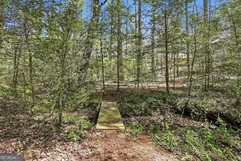341 Brookwood Lane Clarkesville GA 30523