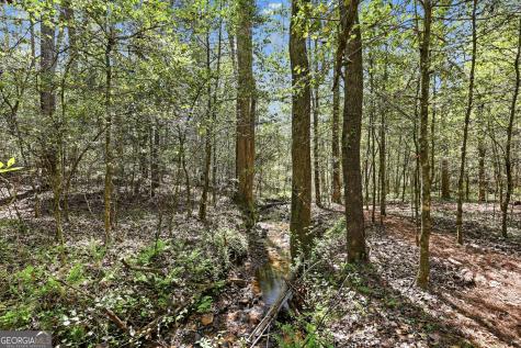 341 Brookwood Lane Clarkesville GA 30523