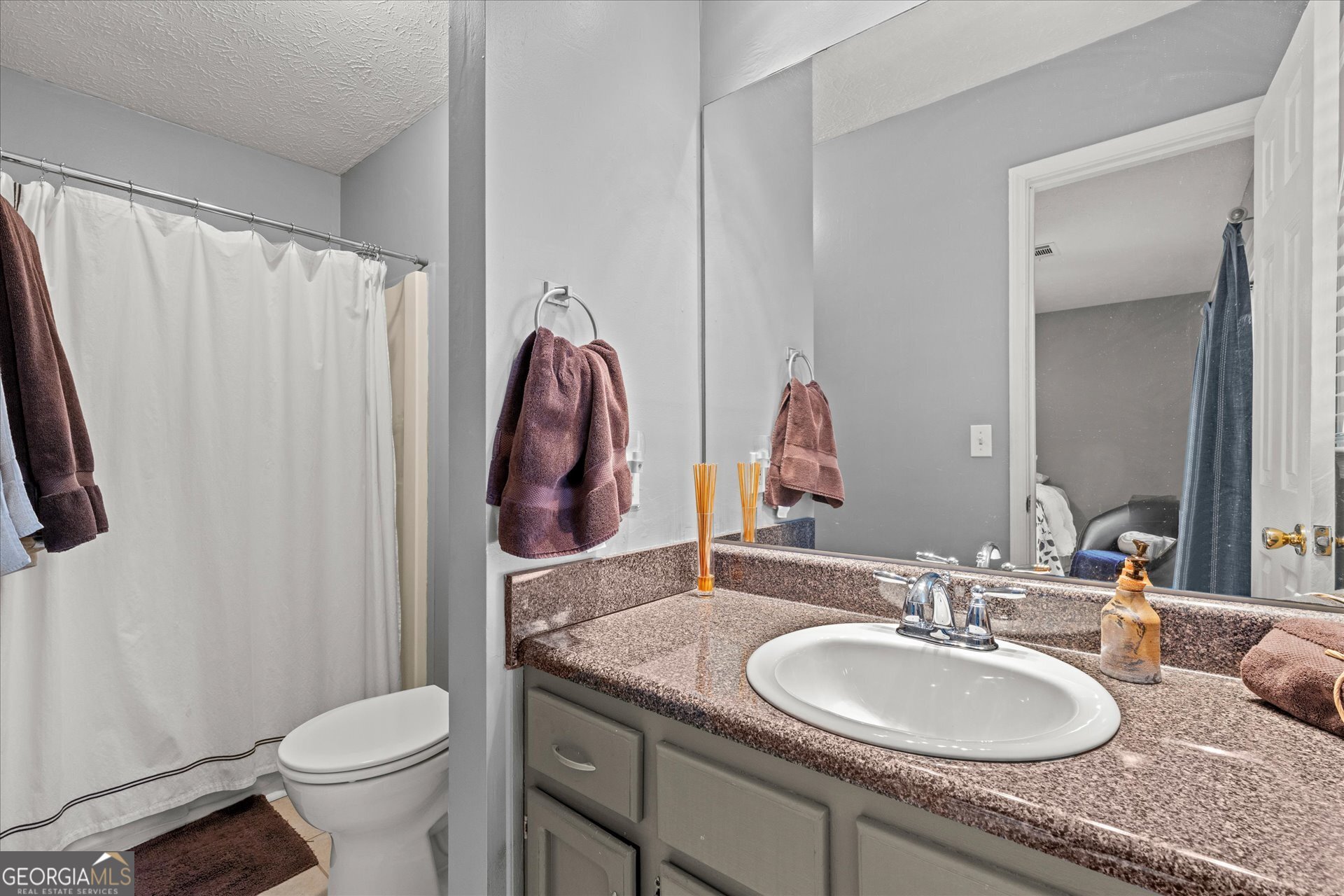 7370 N Mitchell Court Villa Rica GA 30180