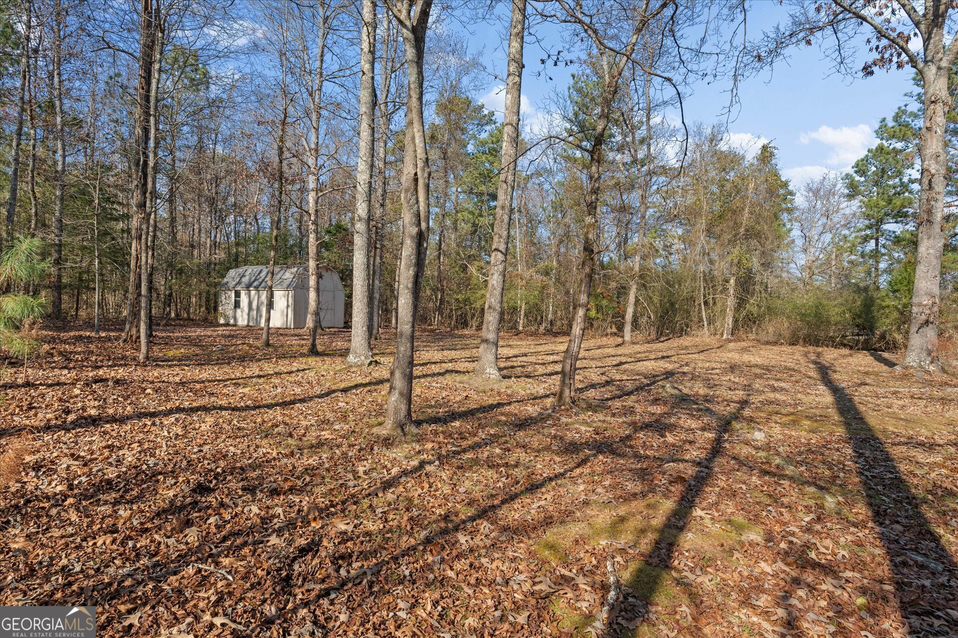 7370 N Mitchell Court Villa Rica GA 30180