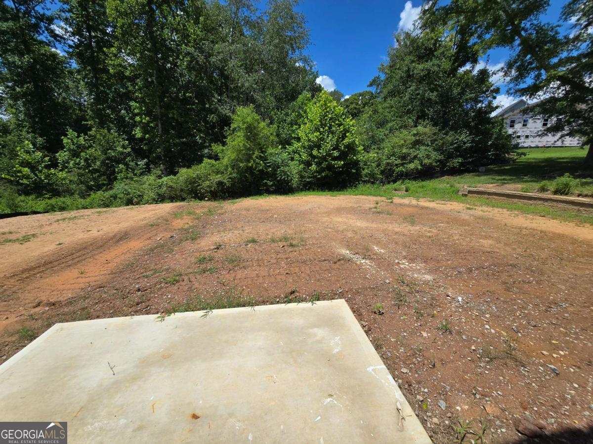 372 Conifer Lane Ball Ground GA 30107