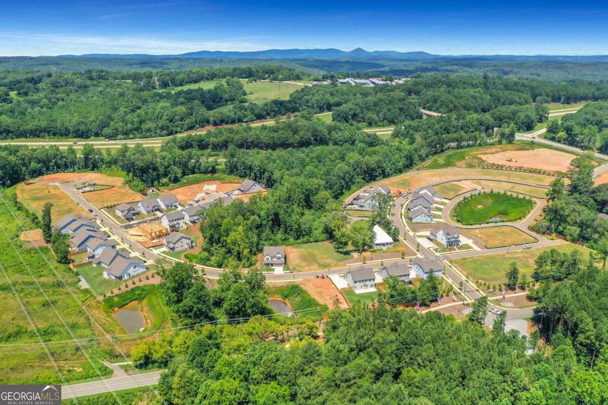 372 Conifer Lane Ball Ground GA 30107
