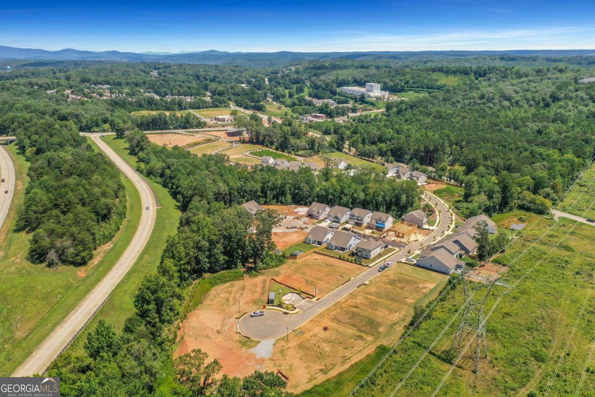 372 Conifer Lane Ball Ground GA 30107