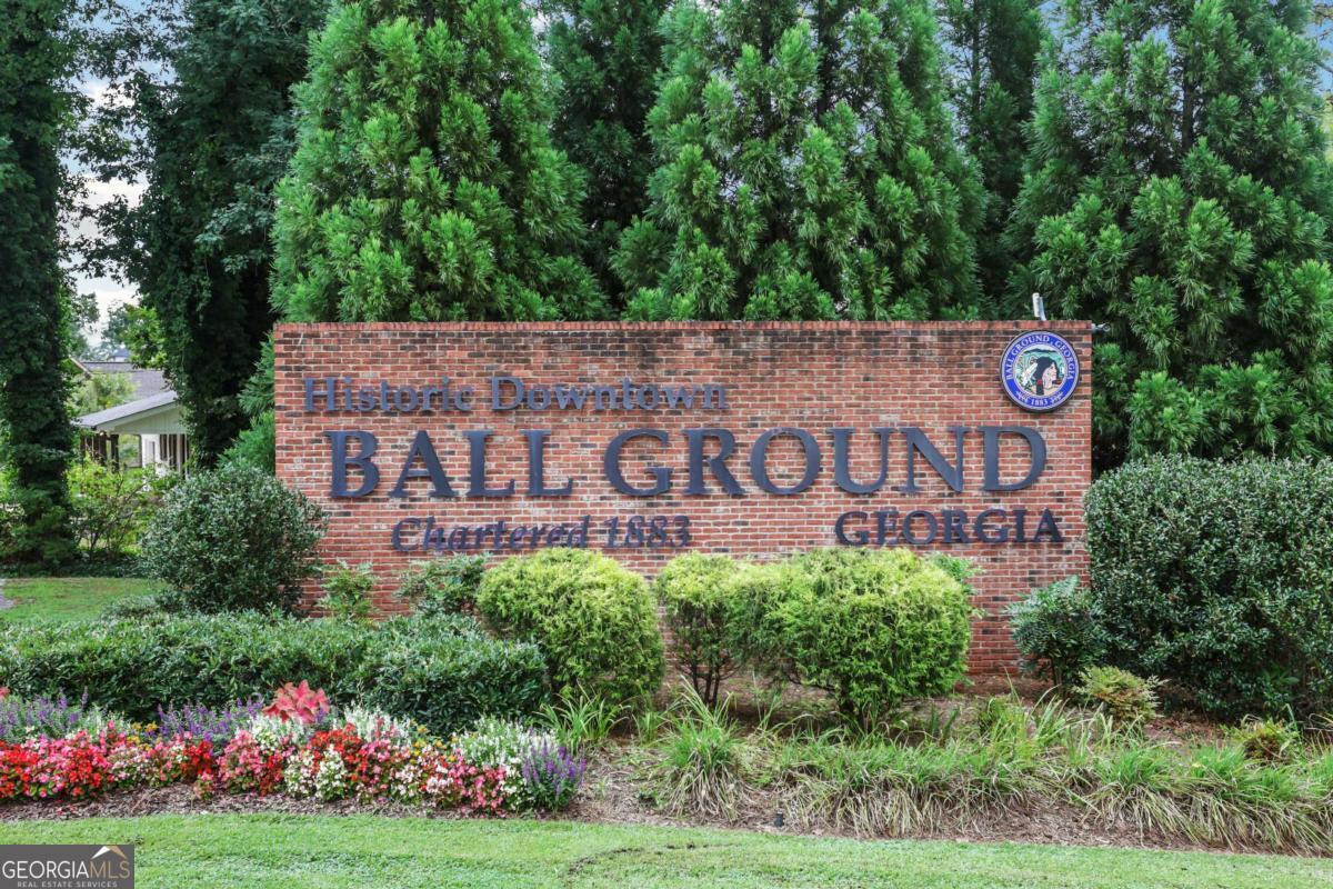 372 Conifer Lane Ball Ground GA 30107