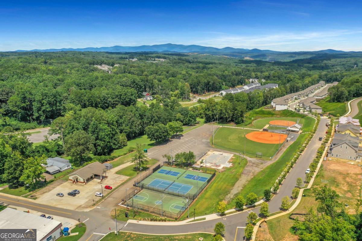 372 Conifer Lane Ball Ground GA 30107