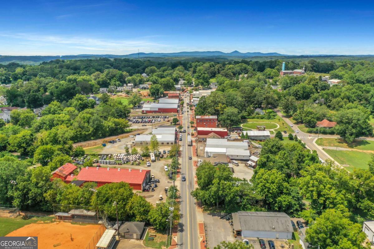 372 Conifer Lane Ball Ground GA 30107