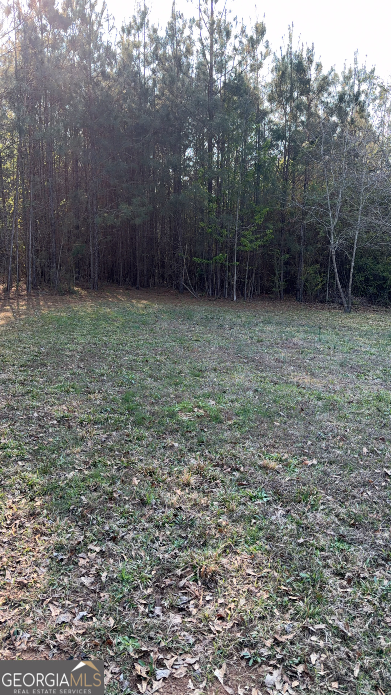 2186 Five Notch Road Franklin GA 30217