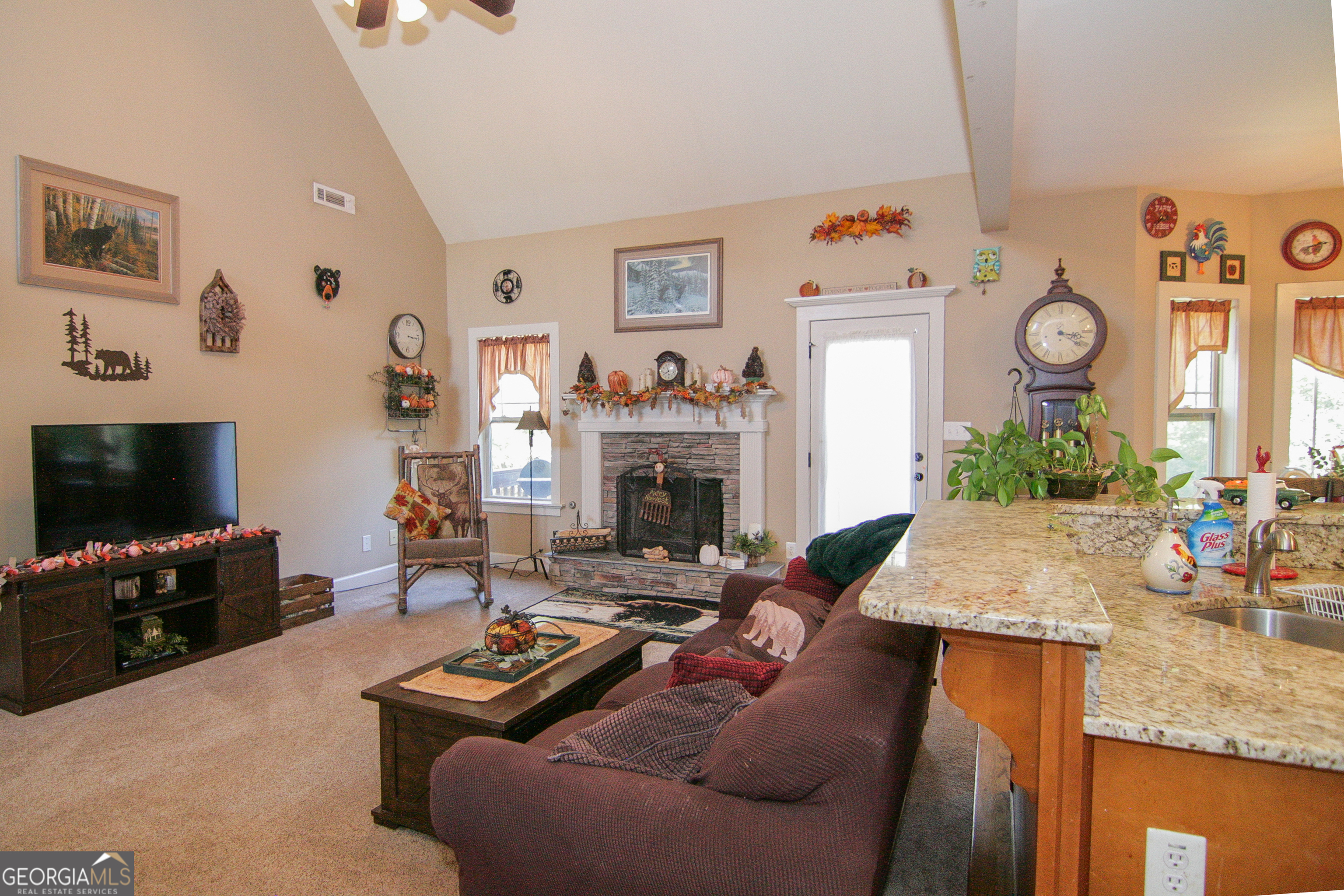 25 Magnolia Place Court Senoia GA 30276